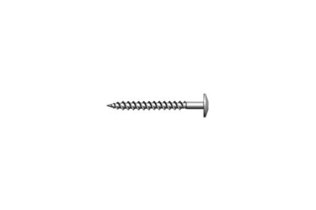 Swisspearl Zenor Schroef Lage bolkop Torx T20 RVS 67159 100st 4,8x38mm
