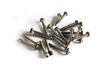 Weo Schroef Torx Cedar 4,2x38mm T20 RVS 100st + Bit