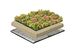 NatureGreen Sedummat 100% Sedum 1m2