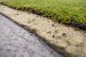 NatureGreen Sedummat 100% Sedum 1m2