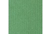 Neolife Siding Nomad 4-6 RAL6021 Aloe 1-z 17x300x4000mm