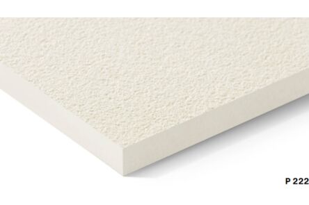 Swisspearl Patina Rough NXT gekantrecht P222 2-z 2500x1250x8