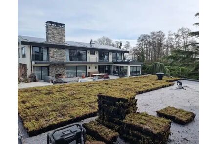 NatureGreen Sedumcassette 100% Sedum HDPE 588x388mm