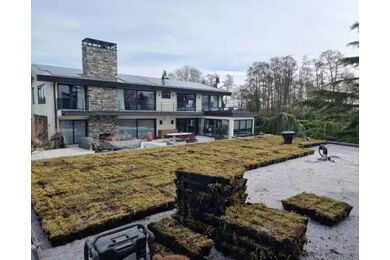 NatureGreen Sedumcassette 100% Sedum HDPE 588x388mm