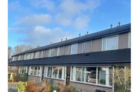Neolife Siding Nomad 4-6 RAL6021 Aloe 1-z 17x300x3000mm