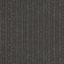 Neolife Siding Nomad 4-6 RAL7016 Graphite 1-z 17x300x3000mm