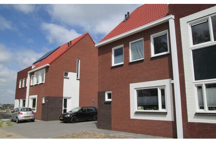 Gevelsteen handvorm waalformaat Waalrood 210 x 100 x 50 mm