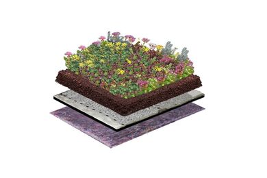 NatureGreen Kruiden Sedumdak 50% Sedum, 50% Kruiden 1m2
