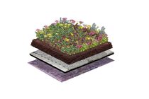 NatureGreen Kruiden Sedumdak 50% Sedum, 50% Kruiden 1m2