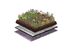 NatureGreen Kruiden Sedumdak 50% Sedum, 50% Kruiden 1m2