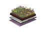 NatureGreen Kruiden Sedumdak 50% Sedum, 50% Kruiden 1m2