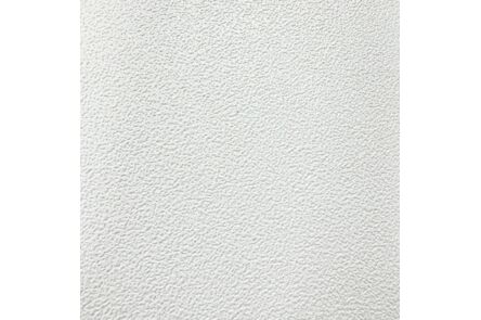 AX Plafondplaat Wit Glad 1200x600x9,5mm