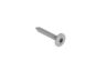 Swisspearl Schroef A2 RVS 4.2x30mm voor plank connect clip 250st