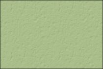 TRESPA Meteon Satin A37.2.3 Spring Green Dubbelzijdig 3650x1860x10mm