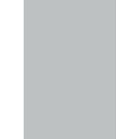 Kronospan HPL 0881 PE Aluminium 0,8mm 305x132cm Kronospan HPL 0881 PE Aluminium 0,8mm 305x132cm