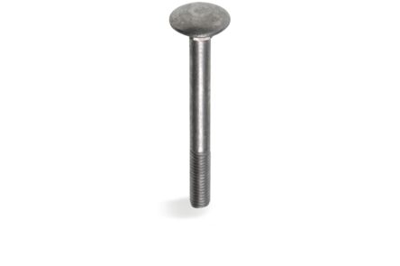 Fis profi slotbout m8x40mm RVS a2
