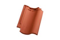 Ovh vario dakpan natuurrood+ 11723500