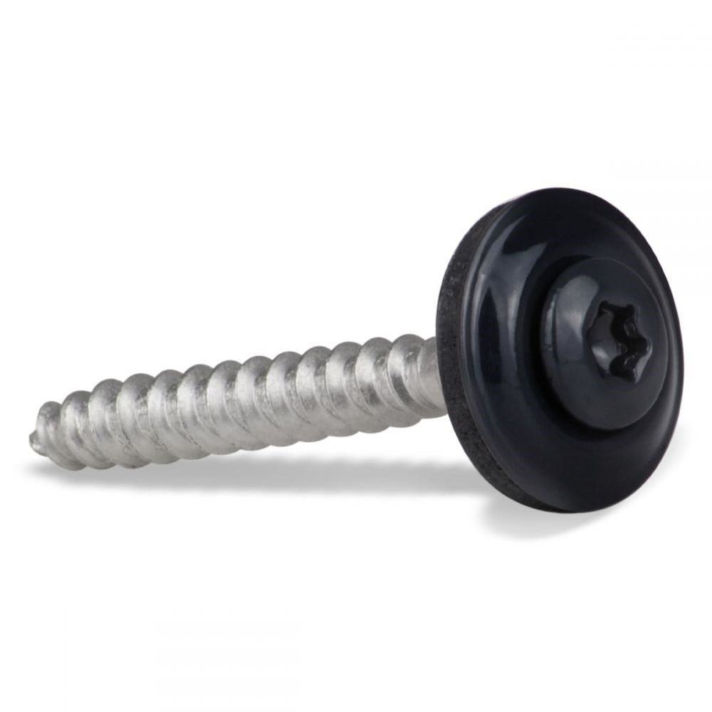 daktrim schroef rvs zwart 200st