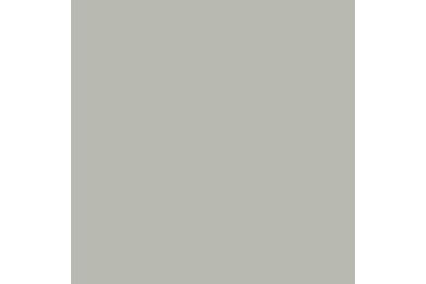 Trespa Meteon FR Rock Enkelzijdig A03.4.0 Silver Grey 3650x1860x8mm