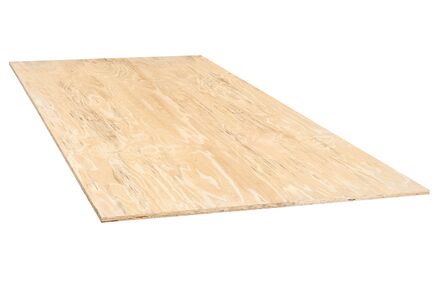 Elliottis pine multiplex C+/C SQE