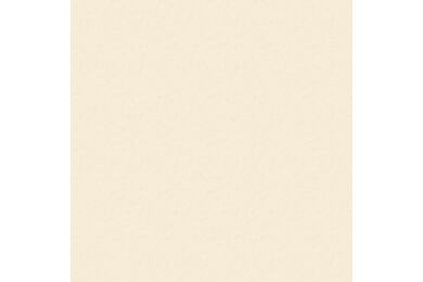 Trespa Meteon FR Satin Enkelzijdig A05.1.0 Papyrus White 3650x1860x8mm