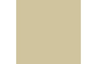 Rockpanel Colours Durable Special RAL 90 80 20 Champagne Beige Eenzijdig 2500x1200x8mm