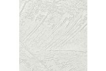 Agnes plafondpaneel 45TF pleisterwerk 620x1220x12mm