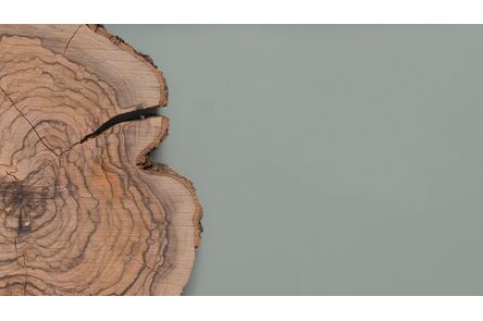 Krion Solid Surface colors plus 6602 sage