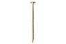 Woodies tellerkop schroef torx t40 8,0x100/60mm verzinkt
