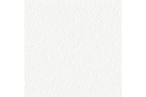 Kantenband ABS Voor Kronospan Plaatmateriaal 0101 PE Front White 1x22mm 150m