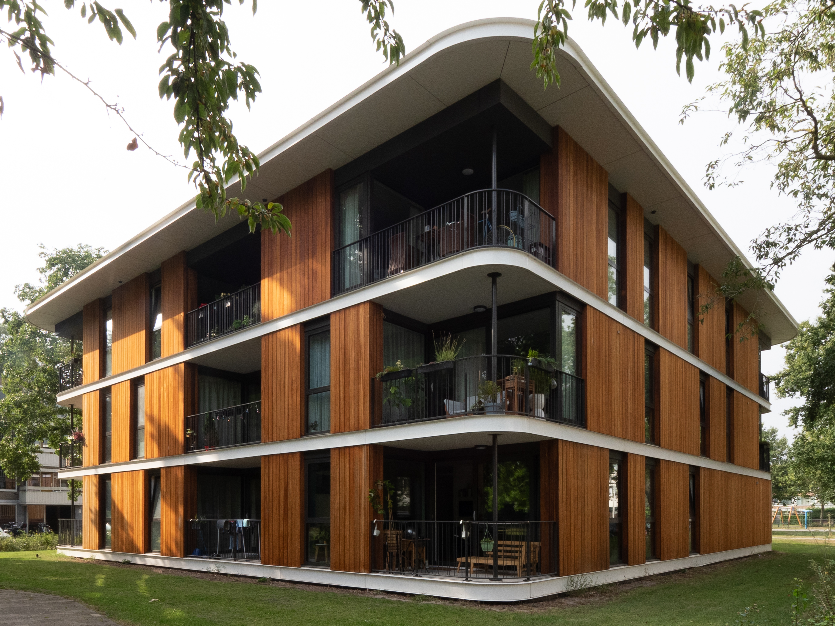 Obèche Noir rhombus geschaafd zwart gegrond FSC 100% 25x75x1000mm