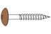 RVS snelmontageschroef t20 voor Rockpanel RAL 60 50 30 4,5x35mm