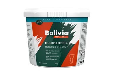 Bolivia muurvulmiddel 1kg