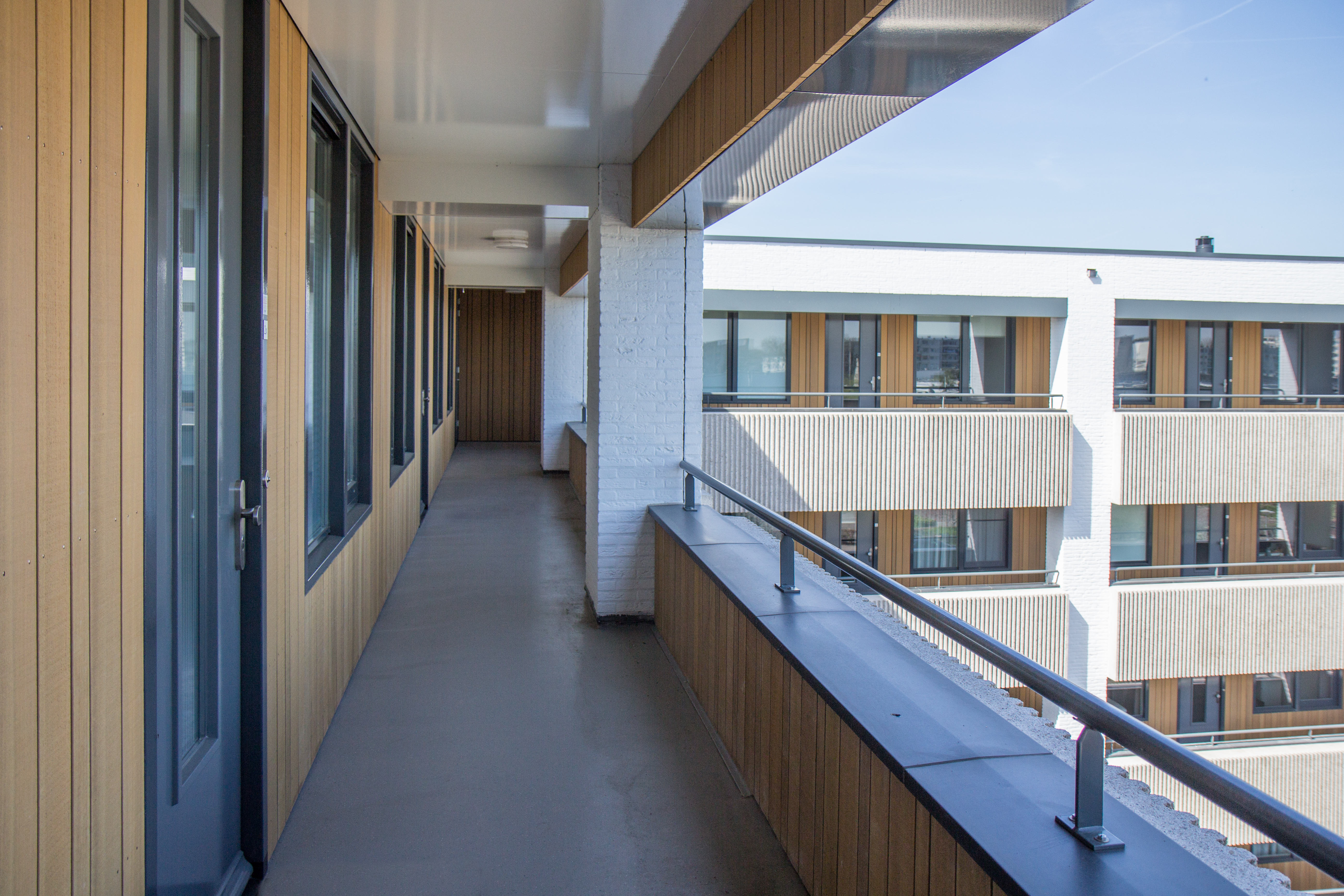 Obèche Noir lines g2 geschaafd zwart gegrond FSC 100% 32x100x1000mm