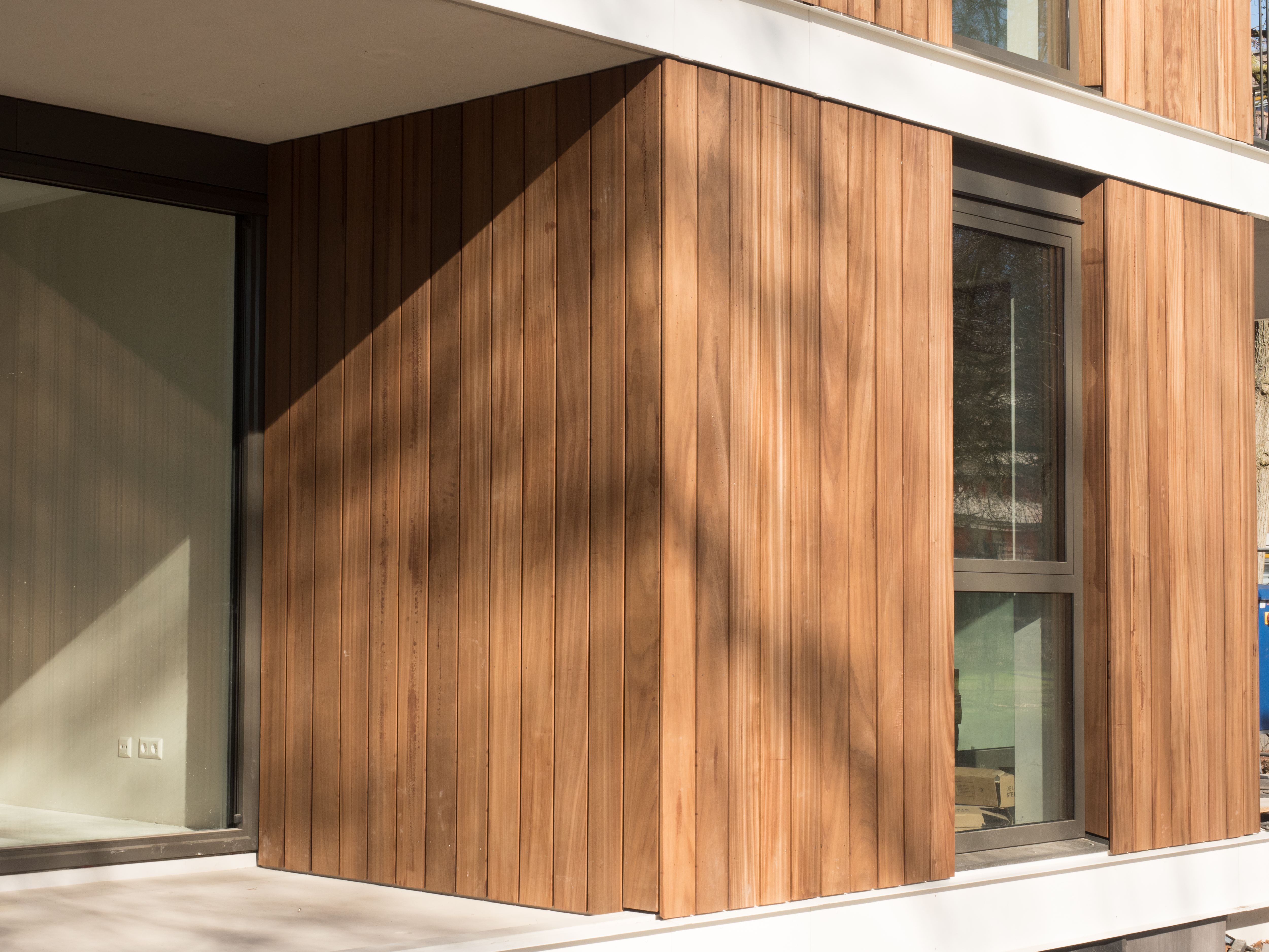 Obèche Noir rhombus geschaafd zwart gegrond FSC 100% 25x75x1000mm