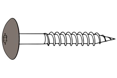 RVS snelmontageschroef t20 voor Rockpanel RAL 60 50 5 4,5x35mm