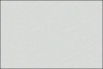 TRESPA Meteon Satin A21.1.0 Winter Grey Enkelzijdig 3650x1860x6mm