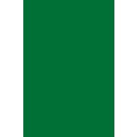Kronospan HPL 9561 BS Oxide Green 0,8mm 305x132cm Kronospan HPL 9561 BS Oxide Green 0,8mm 305x132cm