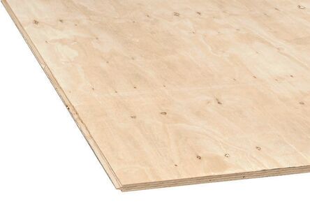 Elliottis pine multiplex C+/C TG2 2440x1220x18mm