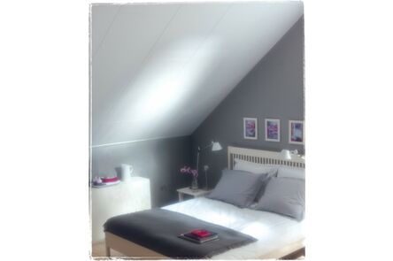 Agnes plafondpaneel 14TF fijnstructuur wit 620x1220x12mm