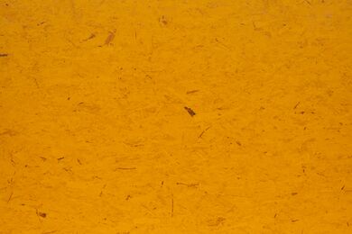 OSB Color Yellow U4/U4 18mm 250x125cm 70% PEFC